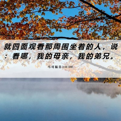Picture 06 - 马 可 福 音 3:34 CUVS - 就 四 面 观 看 那 周 围 坐 着 的 人 - Bible Verse Picture
