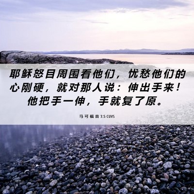 Picture 06 - 马 可 福 音 3:5 CUVS - 耶 稣 怒 目 周 围 看 他 们 ， 忧 愁 - Bible Verse Picture