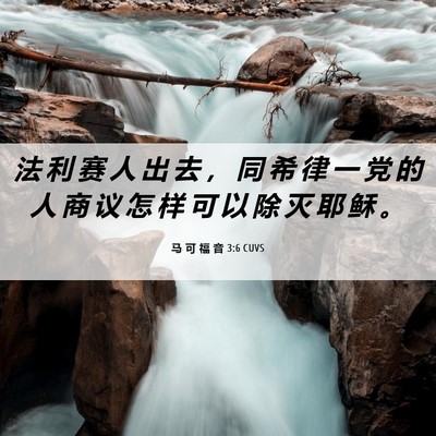 Picture 06 - 马 可 福 音 3:6 CUVS - 法 利 赛 人 出 去 ， 同 希 律 一 党 - Bible Verse Picture