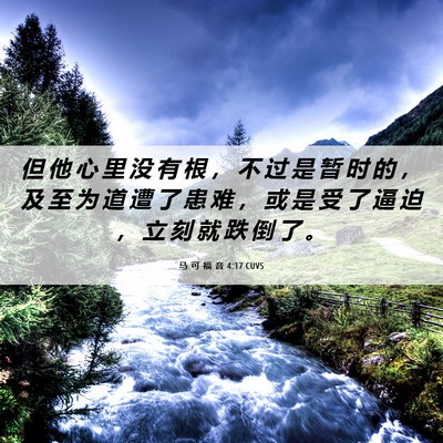 Picture 06 - 马 可 福 音 4:17 CUVS - 但 他 心 里 没 有 根 ， 不 过 是 暂 - Bible Verse Picture