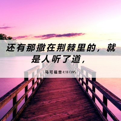 Picture 06 - 马 可 福 音 4:18 CUVS - 还 有 那 撒 在 荆 棘 里 的 ， 就 是 - Bible Verse Picture