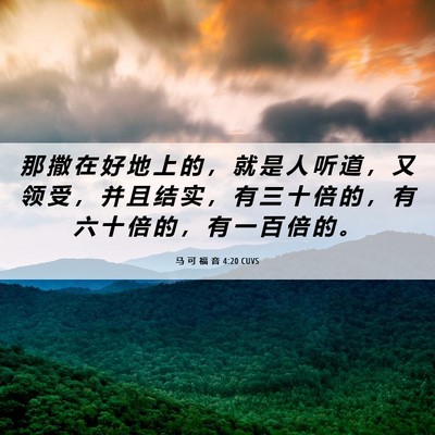 Picture 06 - 马 可 福 音 4:20 CUVS - 那 撒 在 好 地 上 的 ， 就 是 人 听 - Bible Verse Picture