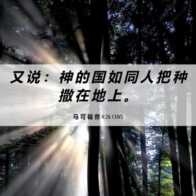 Picture 06 - 马 可 福 音 4:26 CUVS - 又 说 ： 神 的 国 如 同 人 把 种 撒 - Bible Verse Picture