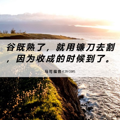Picture 06 - 马 可 福 音 4:29 CUVS - 谷 既 熟 了 ， 就 用 镰 刀 去 割 ， - Bible Verse Picture