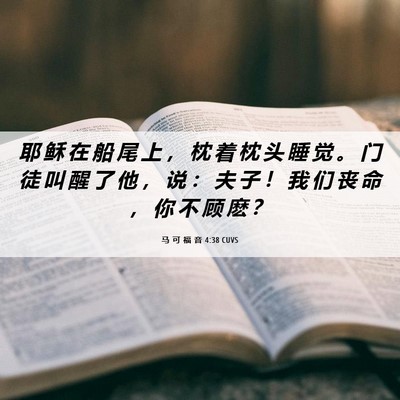 Picture 06 - 马 可 福 音 4:38 CUVS - 耶 稣 在 船 尾 上 ， 枕 着 枕 头 睡 - Bible Verse Picture