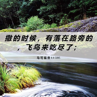 Picture 06 - 马 可 福 音 4:4 CUVS - 撒 的 时 候 ， 有 落 在 路 旁 的 ， - Bible Verse Picture