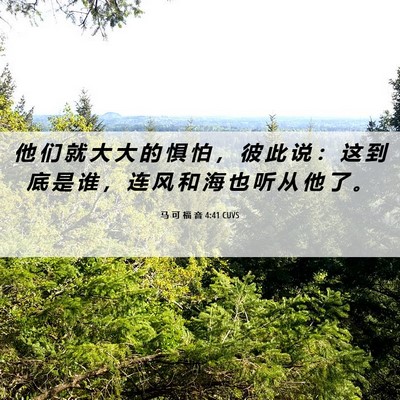 Picture 06 - 马 可 福 音 4:41 CUVS - 他 们 就 大 大 的 惧 怕 ， 彼 此 说 - Bible Verse Picture