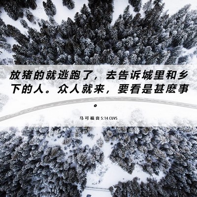 Picture 06 - 马 可 福 音 5:14 CUVS - 放 猪 的 就 逃 跑 了 ， 去 告 诉 城 - Bible Verse Picture