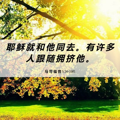 Picture 06 - 马 可 福 音 5:24 CUVS - 耶 稣 就 和 他 同 去 。 有 许 多 人 - Bible Verse Picture