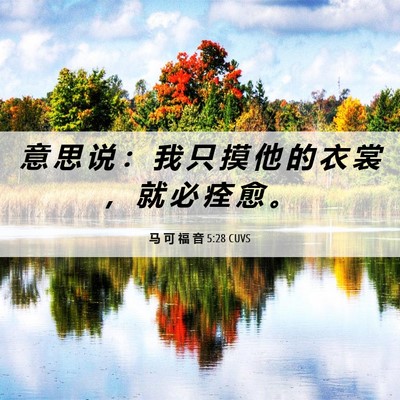 Picture 06 - 马 可 福 音 5:28 CUVS - 意 思 说 ： 我 只 摸 他 的 衣 裳 ， - Bible Verse Picture