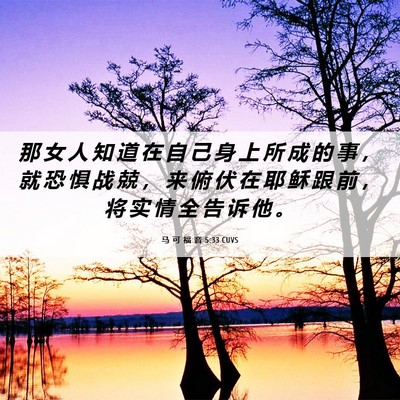 Picture 06 - 马 可 福 音 5:33 CUVS - 那 女 人 知 道 在 自 己 身 上 所 成 - Bible Verse Picture