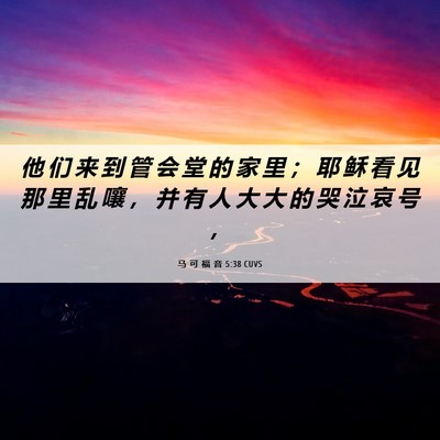 Picture 06 - 马 可 福 音 5:38 CUVS - 他 们 来 到 管 会 堂 的 家 里 ； 耶 - Bible Verse Picture