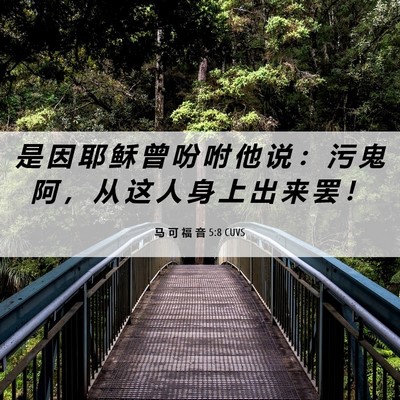 Picture 06 - 马 可 福 音 5:8 CUVS - 是 因 耶 稣 曾 吩 咐 他 说 ： 污 鬼 - Bible Verse Picture