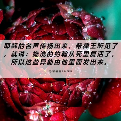 Picture 06 - 马 可 福 音 6:14 CUVS - 耶 稣 的 名 声 传 扬 出 来 。 希 律 - Bible Verse Picture