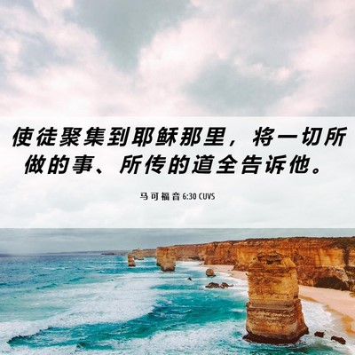Picture 06 - 马 可 福 音 6:30 CUVS - 使 徒 聚 集 到 耶 稣 那 里 ， 将 一 - Bible Verse Picture