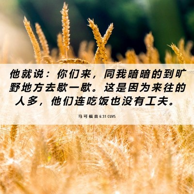 Picture 06 - 马 可 福 音 6:31 CUVS - 他 就 说 ： 你 们 来 ， 同 我 暗 暗 - Bible Verse Picture