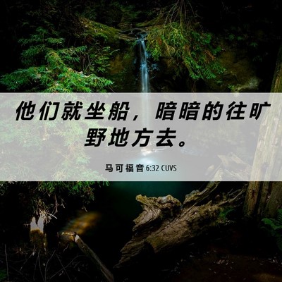 Picture 06 - 马 可 福 音 6:32 CUVS - 他 们 就 坐 船 ， 暗 暗 的 往 旷 野 - Bible Verse Picture