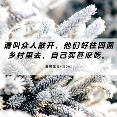 Picture 06 - 马 可 福 音 6:36 CUVS - 请 叫 众 人 散 开 ， 他 们 好 往 四 - Bible Verse Picture