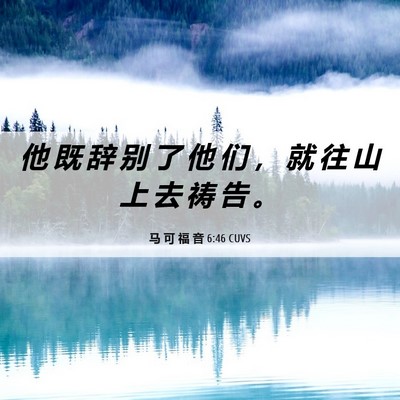 Picture 06 - 马 可 福 音 6:46 CUVS - 他 既 辞 别 了 他 们 ， 就 往 山 上 - Bible Verse Picture