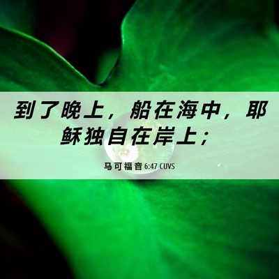 Picture 06 - 马 可 福 音 6:47 CUVS - 到 了 晚 上 ， 船 在 海 中 ， 耶 稣 - Bible Verse Picture