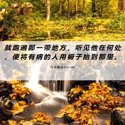 Picture 06 - 马 可 福 音 6:55 CUVS - 就 跑 遍 那 一 带 地 方 ， 听 见 他 - Bible Verse Picture