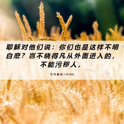 Picture 06 - 马 可 福 音 7:18 CUVS - 耶 稣 对 他 们 说 ： 你 们 也 是 这 - Bible Verse Picture
