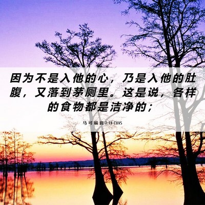 Picture 06 - 马 可 福 音 7:19 CUVS - 因 为 不 是 入 他 的 心 ， 乃 是 入 - Bible Verse Picture