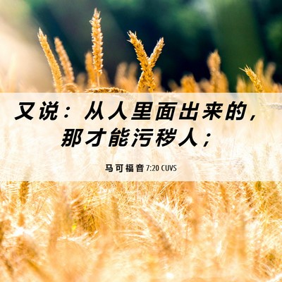 Picture 06 - 马 可 福 音 7:20 CUVS - 又 说 ： 从 人 里 面 出 来 的 ， 那 - Bible Verse Picture
