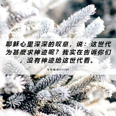 Picture 06 - 马 可 福 音 8:12 CUVS - 耶 稣 心 里 深 深 的 叹 息 ， 说 ： - Bible Verse Picture