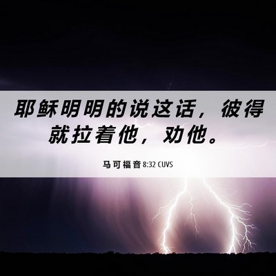 Picture 06 - 马 可 福 音 8:32 CUVS - 耶 稣 明 明 的 说 这 话 ， 彼 得 就 - Bible Verse Picture