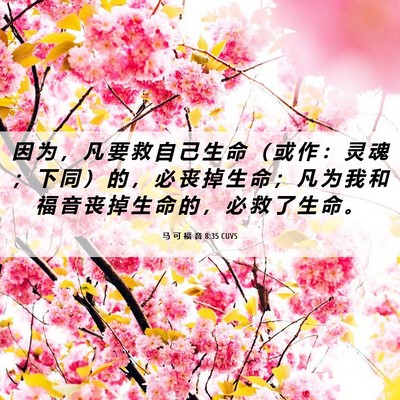 Picture 06 - 马 可 福 音 8:35 CUVS - 因 为 ， 凡 要 救 自 己 生 命 （ 或 - Bible Verse Picture