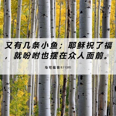Picture 06 - 马 可 福 音 8:7 CUVS - 又 有 几 条 小 鱼 ； 耶 稣 祝 了 福 - Bible Verse Picture