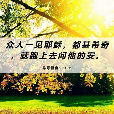 Picture 06 - 马 可 福 音 9:15 CUVS - 众 人 一 见 耶 稣 ， 都 甚 希 奇 ， - Bible Verse Picture