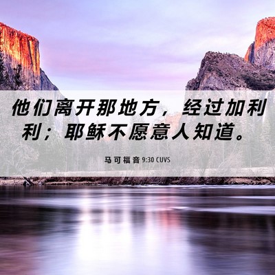 Picture 06 - 马 可 福 音 9:30 CUVS - 他 们 离 开 那 地 方 ， 经 过 加 利 - Bible Verse Picture