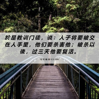 Picture 06 - 马 可 福 音 9:31 CUVS - 於 是 教 训 门 徒 ， 说 ： 人 子 将 - Bible Verse Picture