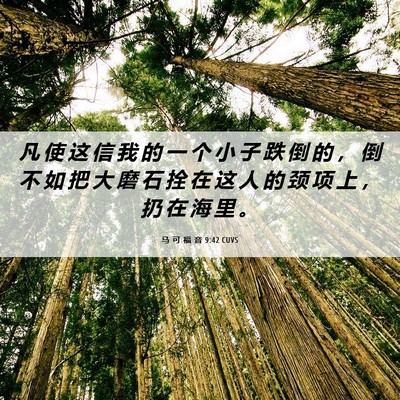 Picture 06 - 马 可 福 音 9:42 CUVS - 凡 使 这 信 我 的 一 个 小 子 跌 倒 - Bible Verse Picture