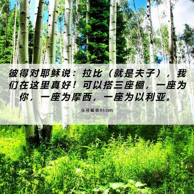 Picture 06 - 马 可 福 音 9:5 CUVS - 彼 得 对 耶 稣 说 ： 拉 比 （ 就 是 - Bible Verse Picture