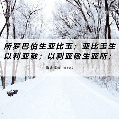 Picture 06 - 马 太 福 音 1:13 CUVS - 所 罗 巴 伯 生 亚 比 玉 ； 亚 比 玉 - Bible Verse Picture