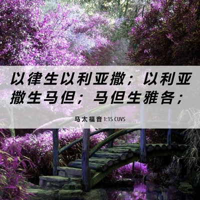 Picture 06 - 马 太 福 音 1:15 CUVS - 以 律 生 以 利 亚 撒 ； 以 利 亚 撒 - Bible Verse Picture