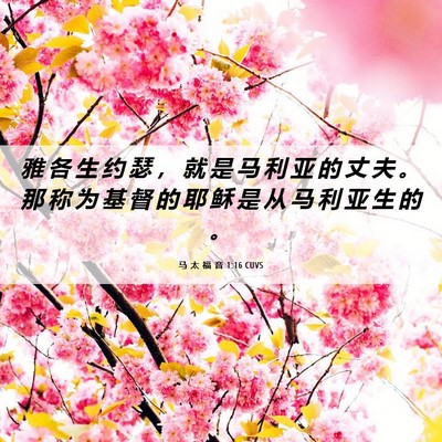 Picture 06 - 马 太 福 音 1:16 CUVS - 雅 各 生 约 瑟 ， 就 是 马 利 亚 的 - Bible Verse Picture