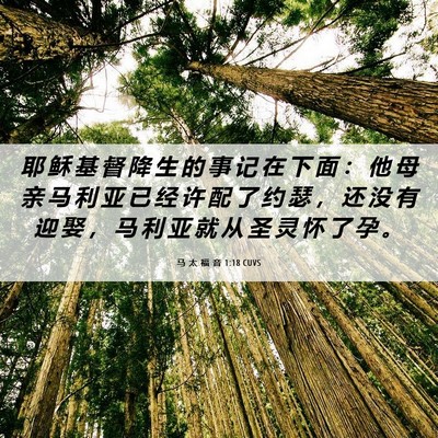 Picture 06 - 马 太 福 音 1:18 CUVS - 耶 稣 基 督 降 生 的 事 记 在 下 面 - Bible Verse Picture
