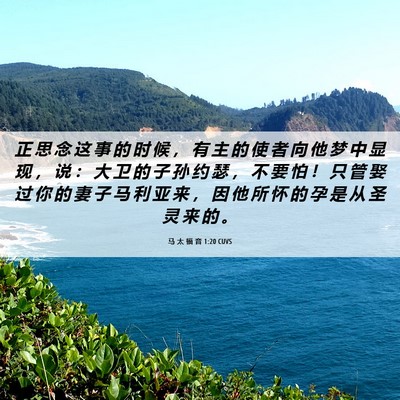 Picture 06 - 马 太 福 音 1:20 CUVS - 正 思 念 这 事 的 时 候 ， 有 主 的 - Bible Verse Picture