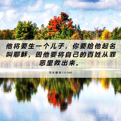 Picture 06 - 马 太 福 音 1:21 CUVS - 他 将 要 生 一 个 儿 子 ， 你 要 给 - Bible Verse Picture