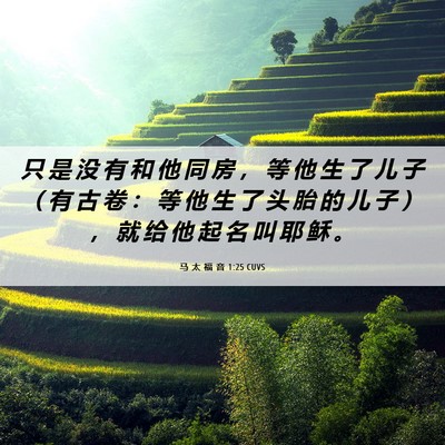 Picture 06 - 马 太 福 音 1:25 CUVS - 只 是 没 有 和 他 同 房 ， 等 他 生 - Bible Verse Picture