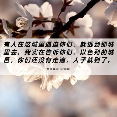 Picture 06 - 马 太 福 音 10:23 CUVS - 有 人 在 这 城 里 逼 迫 你 们 ， 就 - Bible Verse Picture