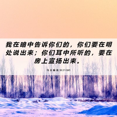 Picture 06 - 马 太 福 音 10:27 CUVS - 我 在 暗 中 告 诉 你 们 的 ， 你 们 - Bible Verse Picture