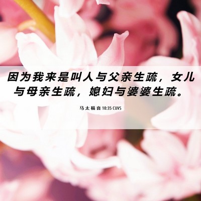 Picture 06 - 马 太 福 音 10:35 CUVS - 因 为 我 来 是 叫 人 与 父 亲 生 疏 - Bible Verse Picture