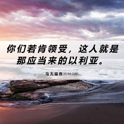 Picture 06 - 马 太 福 音 11:14 CUVS - 你 们 若 肯 领 受 ， 这 人 就 是 那 - Bible Verse Picture