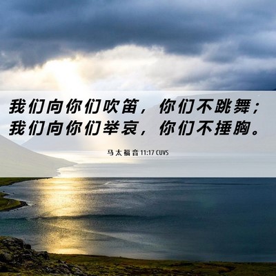 Picture 06 - 马 太 福 音 11:17 CUVS - 我 们 向 你 们 吹 笛 ， 你 们 不 跳 - Bible Verse Picture