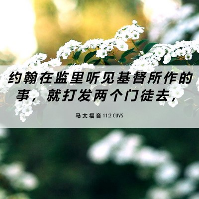 Picture 06 - 马 太 福 音 11:2 CUVS - 约 翰 在 监 里 听 见 基 督 所 作 的 - Bible Verse Picture